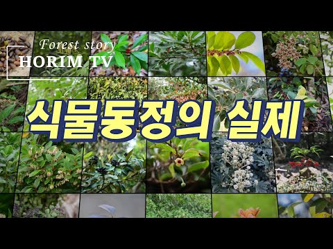 , title : '공개강좌 ; 식물동정의 실제,  숲 전문 HORIM-TV'