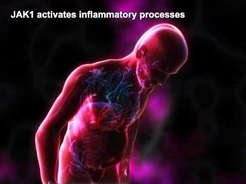 CYT387: Potent Dual Inhibitor of JAK 1/2 in Phase I/II Clinical Development (YM BioSciences Inc.)