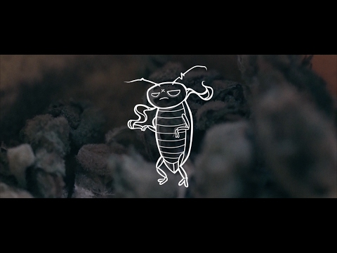 Karmo Kaputto - Mazeltov (prod. von Kotico)