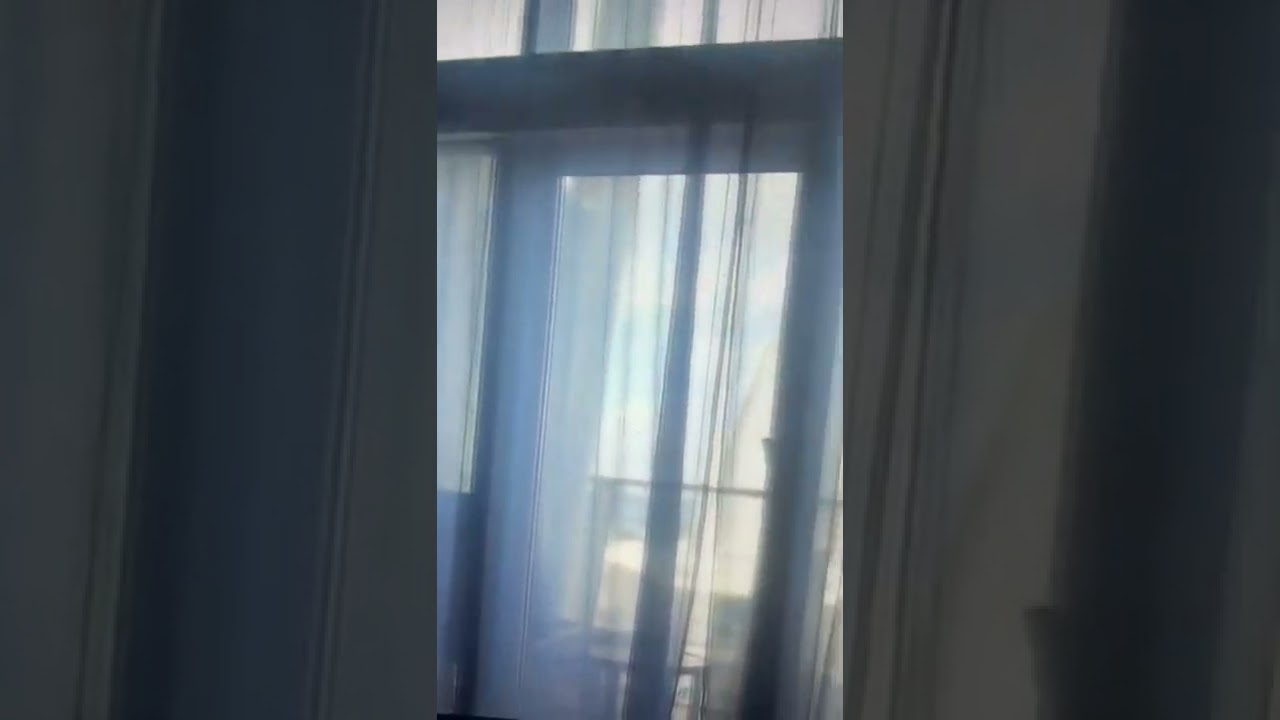 Harmony of the Seas - Cabin 1728 - Video 4