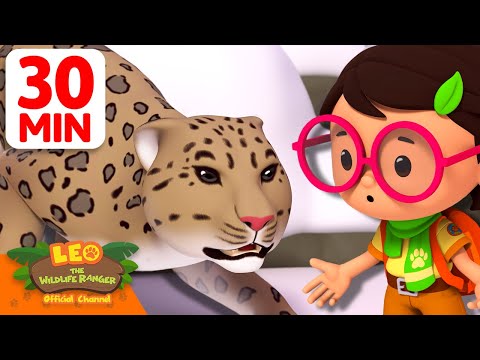 Rangers Rescue a Scary Snow Leopard! 🐆❄️ | 30 Min | Leo the Wildlife Ranger | #animals