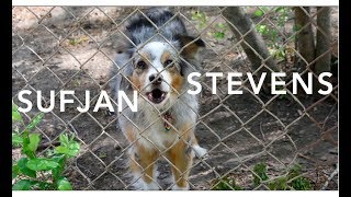 Drawn to the Blood Lyrics