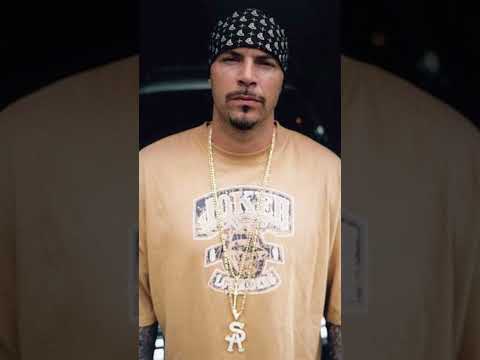 DJ Muggs has brought for his latest #shorts #djmuggs #ghostfacekillah #rap #hiphop #rapper #album