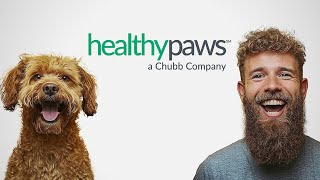Pet Insurance for Cats & Dogs from Healthy Paws, a Chubb company