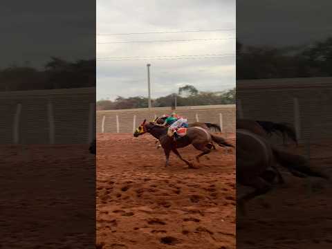 CORRIDA DE CAVALOS, 23* FESTA DO VAQUEIRO EM BARRA D ALCÂNTARA PIAUÍ,