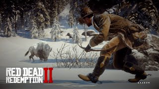 How to Find and Kill the Legendary White Bison In RDR2