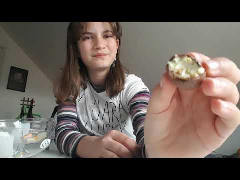 Betygsätter mina rester av påskgodis.