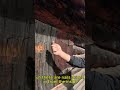 Why Are There NAILS All Over This Alaskan Cabin? (Bear-Proofing Secret!)