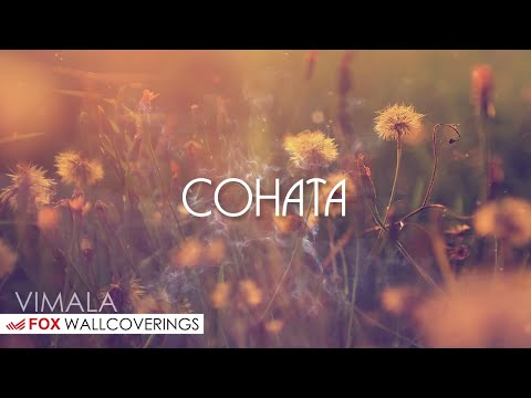 Миниатюра изображения товара Виниловые обои Vimala Соната-2 11673