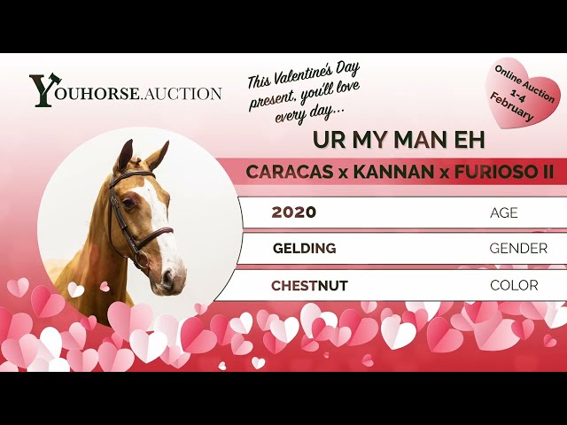 Ur My Man