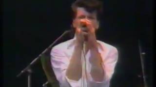 Herman Brood and His Wild Romance - No more dancin - Live at PINK POP 1988