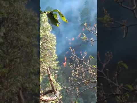 Se registran 4 incendios de gran magnitud en San Sebastián Huehuetenango