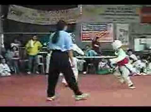 francis vidal silver in taekwondo