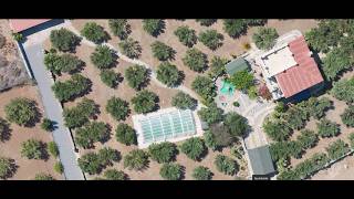 For Sale Cottage with pool, guesthouse & olive grove in Crete 499.000€