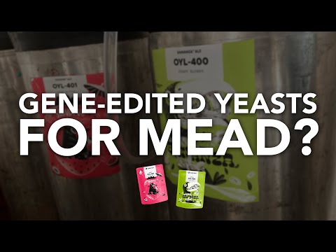GENE-EDITED YEASTS - Next big thing for mead? Tasting Omega's Sundew and Bananza yeasts side-by-side