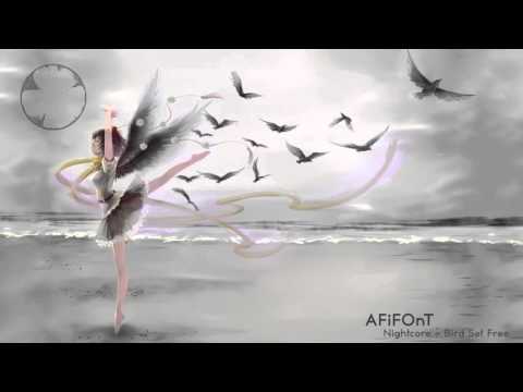 Nightcore - Bird Set Free (Sia)