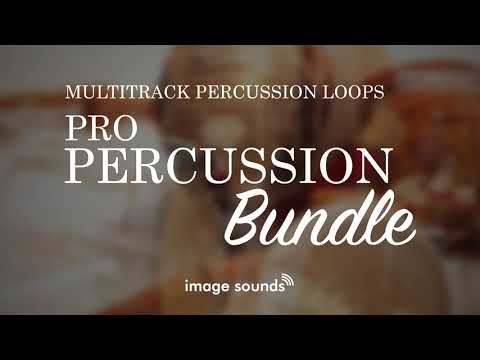 Free Download Pro Percussion Bundle WAV