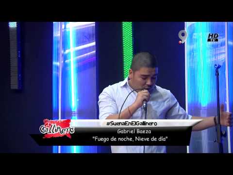 Gabriel Baeza - Fuego de noche, nieve de día