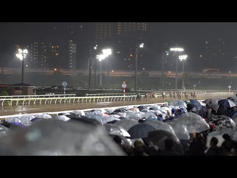 2019年『第1回大井競馬第3日』第30回 東京スプリント(JpnIII)【TOKYO CITY KEIBA(TCK)/東京シティ競馬】