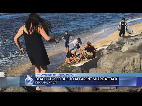 Kekaha Beach closed due to apparent shark bite
