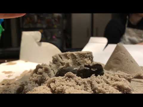 Elephant destroyed sand castle