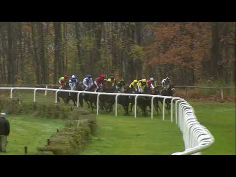 Galopprennbahn Dresden - 20.11.2019 - 6.Rennen