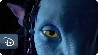Behind the Scenes of Pandora - The World of Avatar | Disney's Animal Kingdom