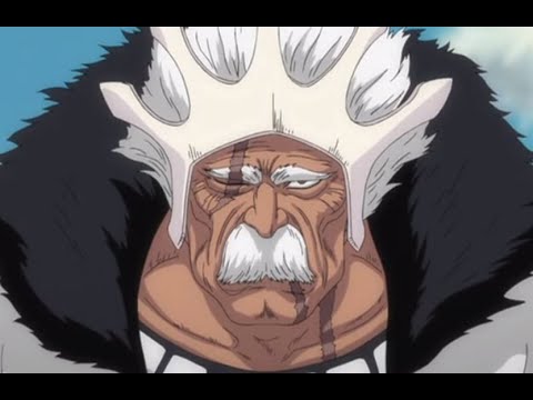 Bleach: Baraggan Louisenbairn Zanpakuto Release  | Arrogante |