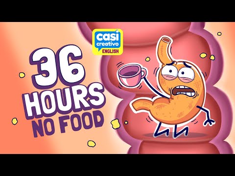 36時間絶食したときの臓器 (Your Organs when you Fast for 36 Hours)
