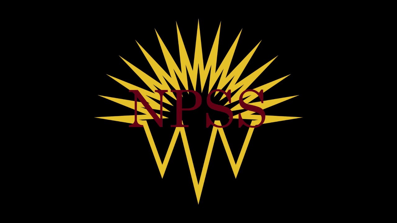 NPSS Grad 2017 Grand March