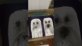 From Ghost to Cute Dog! Water Hacks