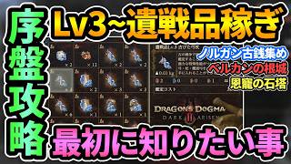 【ドグマ2DLC】序盤攻略&遺戦品稼ぎガイド🔰最初に知りたいこと！ノルガンの古銭集め,恩寵の石塔,忘れられた試儀【Dragon's Dogma 2: Dark Arisen/ダークアリズン】