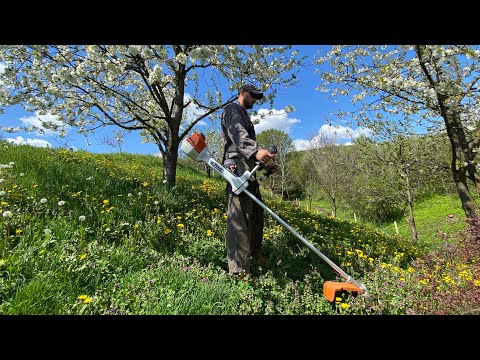 Cutting new and fresh grass with Stihl Fs 460-C .( Motocoasa Stihl.)