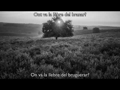 Patric - Triste es lo cèl (amb traducció al català)