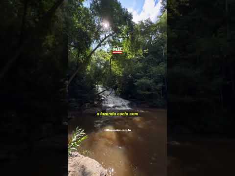 Fazenda à venda de 44 alqueires (214 hectares) em Hidrolandia GO # #fazendaavenda #agro #loteamento