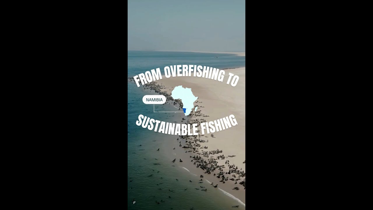 From overfishing to sustainable fishing
