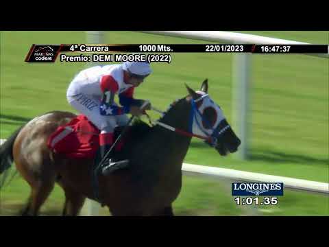 230122 c04 BRISA FEVER