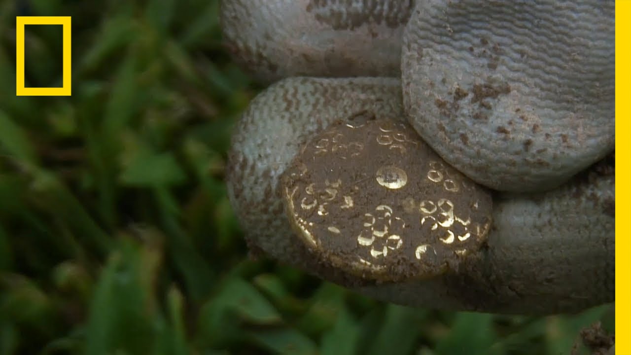 Pretty Button | National Geographic