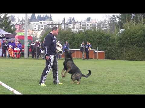 Svod NO 2017 - Boss z Bukovanské osady