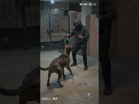 ١٩ يوليو ٢٠٢٦