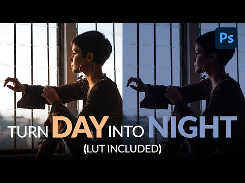 How to Set Up and Use a Wacom Tablet