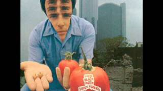 Black Moth Super Rainbow - One Day I Had an Extra Toe