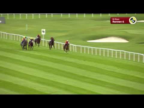 Grosser Dallmayr-Preis - Gruppe 1