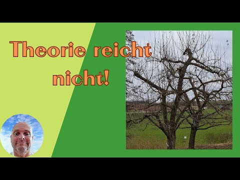 Was beim Schnitt alter Obstbäume zählt – und was dir (fast) niemand sagt