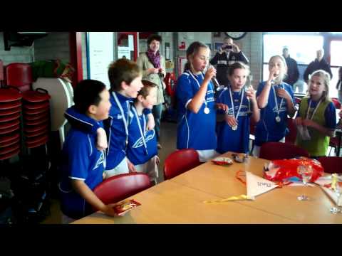 Scheldevogels D kampioen