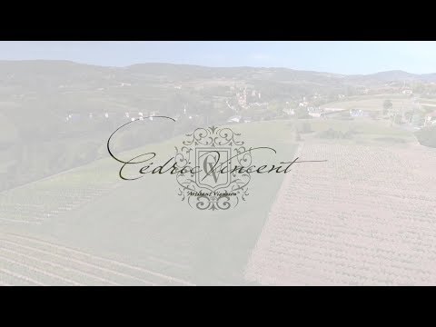 Découvrez le Domaine Cédric Vincent