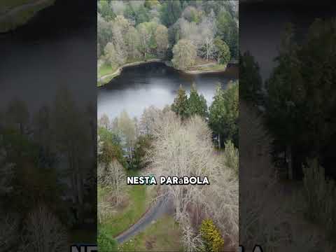 A Parábola do Tesouro Escondido (Mateus 13:44)  #parabola #jesus #palavradedeus