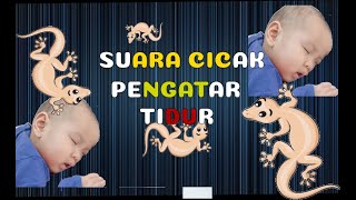 Download lagu 30 Menit !! Suara CICAK !!, Pengantar Tidur anak mp3 Download lagu 30 Menit !! Suara CICAK !!, Pengantar Tidur anak mp3