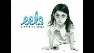 Eels Novacaine For The Soul