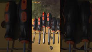 Screwdriver set 6pcs STARTUL PROFI (ST3033-6)